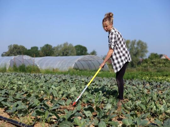 Hélène Ficheux des Jardins de la Sensée