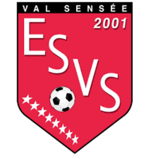 Logo de l'E.S.Valsensée